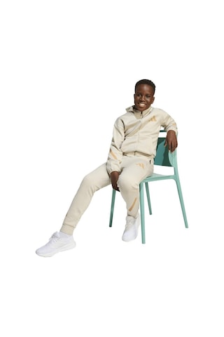 Adidas Çocuk Bej Ceket J Z.n.e.fz Jw4005 Bej