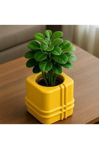 En-cag 3d Baskı Square Planter - Izgara Desenli Küp Saksı-sarı Bss Standart