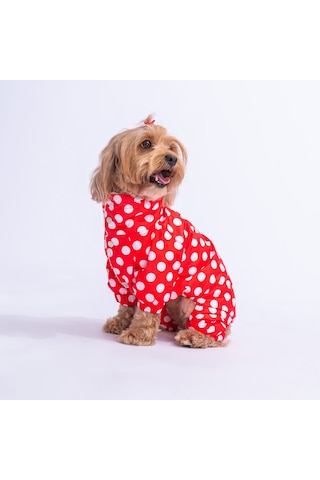 Kırmızı Dots Köpek Tulum Yağmurluğu Köpek Yağmurluk Köpek Kıyafeti Köpek Elbisesi