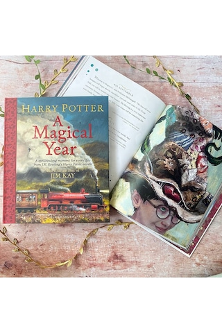 Harry Potter - A Magical Year: The Illustrations Of Jim Kay