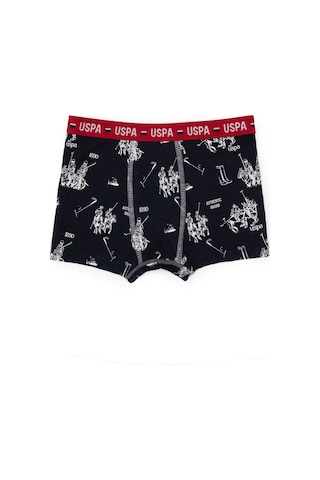 U.S. Polo Assn. Erkek Çocuk 3'lü Boxer Takım 50319391-VR033