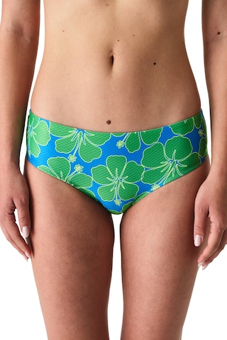Penti Beralis Hipster Bikini Altı