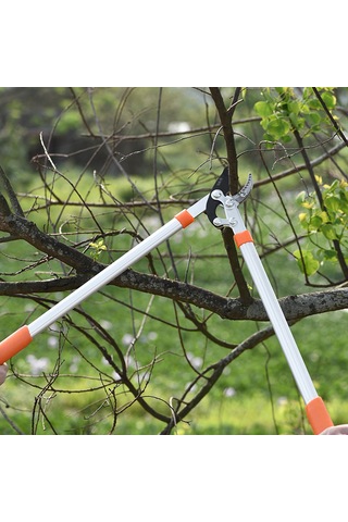 Symbee Bahçe Ağacı Dal Kesici, Lever Sistemi İle Kolay Kesim, 6cm'ye Kadar Dal Uçları, Dayanıklı Alaşım Çelik