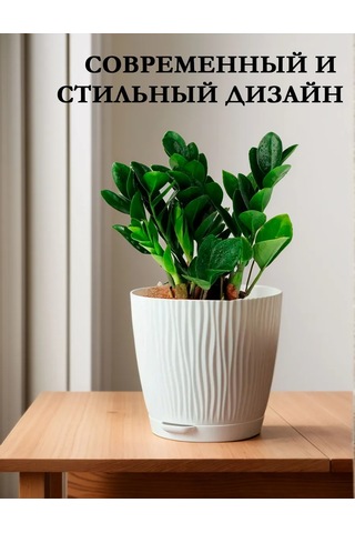 Saburg 1,2 Litre Tablalı Çiçek Saksısı Seti 238358825