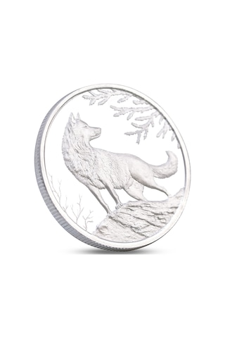 Agakulche Kurt Gümüş Sikke Coin