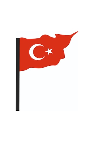 Türk Bayrağı Peugeot Logo Sticker