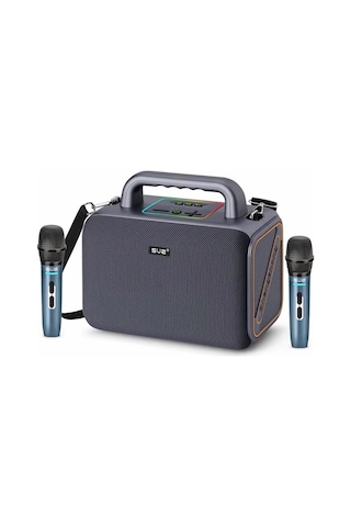 Rose Hp-606 Outdoor Usb Media Player