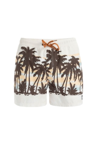 Quiksilver Everyday Straıght Volley Bej Erkek Şort 000000000102178134 Bej