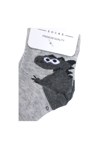 Bebegen Erkek Bebek Gri Dino Desenli Çorap 0-12 Ay Çok Renkli