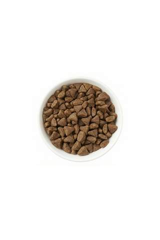 Zampa Plus Premium Kuzu Etli ve Pirinçli Yavru Köpek İçin Kuru Mama 15 KG