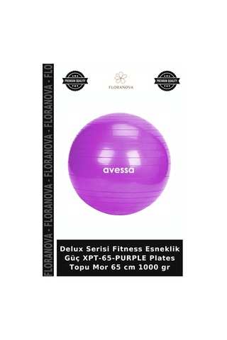 Delux Serisi Fitness Esneklik Güç Xpt-65-purple Plates Topu Mor 65 Cm 1000 Gr