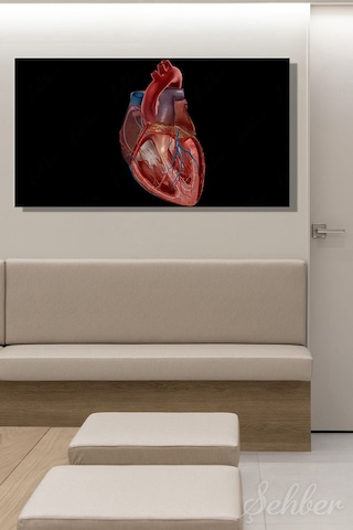 İnsan Kalbinin Anatomik Yapısını Gösteren Detaylı Bir Tıbbi Renkli Çizim Yatay Kanvas Tablo Tekli 3542