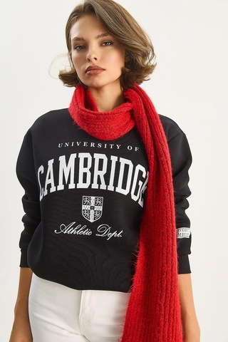 Shade Kadın Bisiklet Yaka Baskılı Üç İplik Şardonlu Basic Sweatshirt 6067 60283619 - Siyah