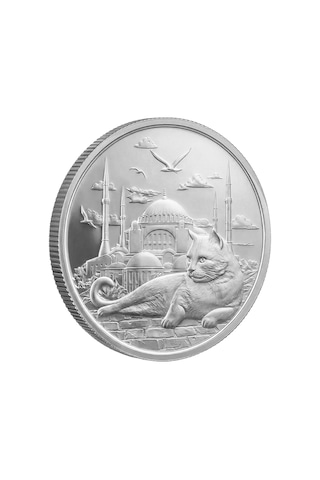 Agakulche İstanbul Kedisi Gümüş Sikke Coin