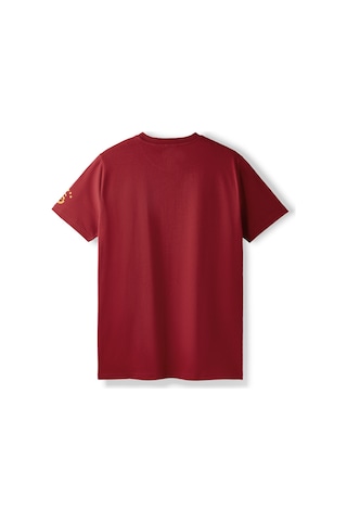 Gsstore Galatasaray Erkek T-shirt E252097 Bordo