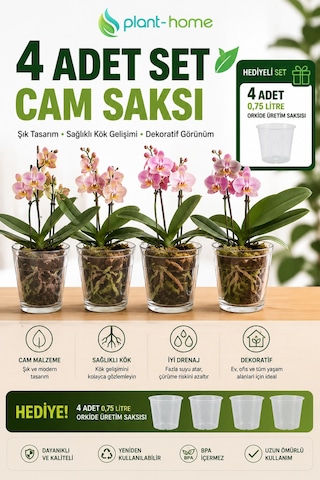 4 Adet Cam Orkide Saksısı Seti Şeffaf Dekoratif Cam Saksı + 4 Adet 0,75 Litre Orkide Üretim Saksısı Hediyeli