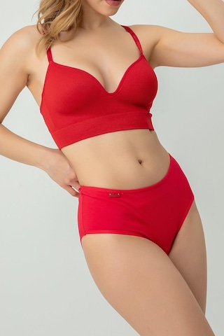 Doremi Seamless Kaplı Sütyen 001