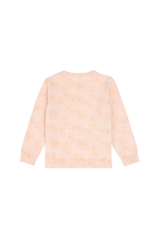 U.s. Polo Assn. Kız Çocuk Koyu Pembe Kazak /triko 50314361-vr167 Koyu Pembe