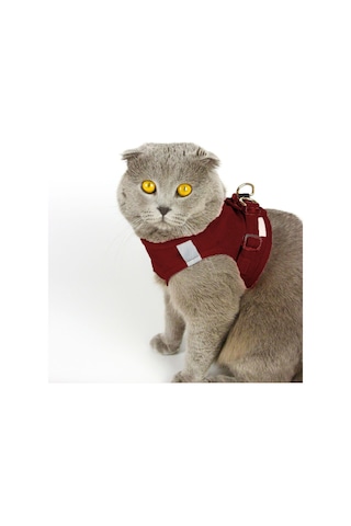 Petköy Kedi Gezdirme Tasması Kedi Tasması Göğüs Tasma Seti Yumuşak Süet Bordo