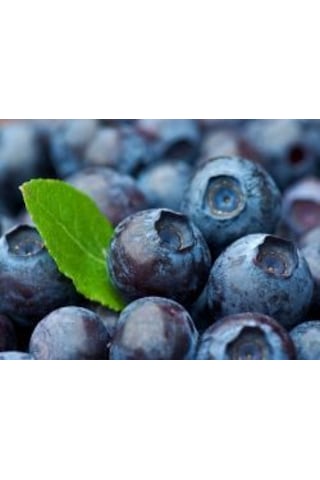 2 Adet Tüplü Yaban Mersini Vaccinium Corymbosum Fidanı - 2 Yaşı