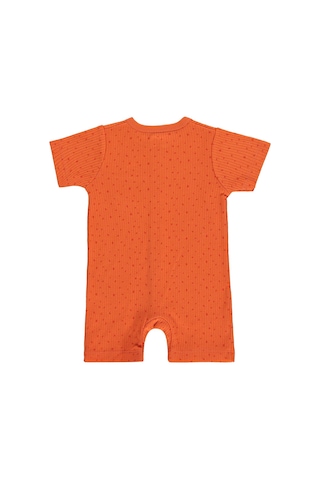 Minidamla Baby Minidamla Little Life 0-9 Ay Tulum - Turuncu