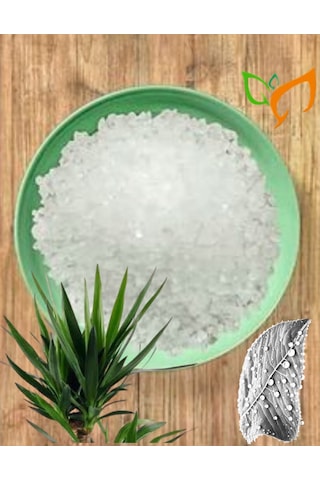 Magsul Magnezyum Sulfat Gübre Ec Fertilizer Magnezyum Gübre 2,5kg