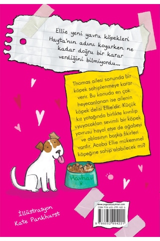 Küçük Haylaz Köpeğim 1-Hayta'ya Bir Yuva - Holly Webb - Pegasus