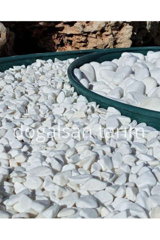 Beyaz Dolomit Taş 1 Kg 1-2 Cm Dere Taşı Çakıl Taşı Saksı Taşı Akvaryum, Teraryum Taşı Bahçe Taşı