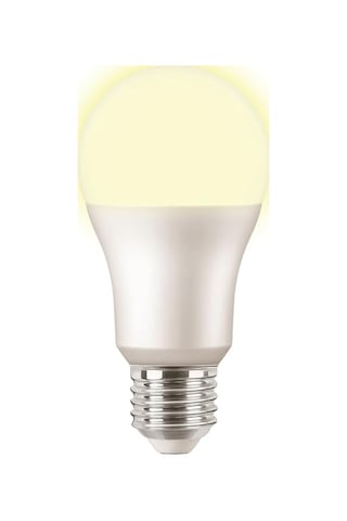 Ledbulb 13-100w E27 2700k Sarı Işık Ampul Sku: Smg8690010147103 Açık Kahverengi