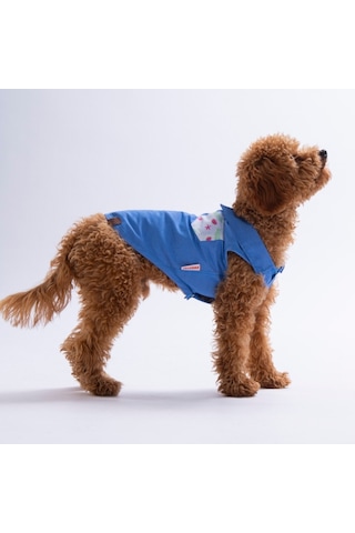 Ruby Slice Denim Karpuz Desenli Kot Kedi Köpek Gömleği-kedi Köpek Kıyafeti-kedi Gömlek-köpek Gömlek