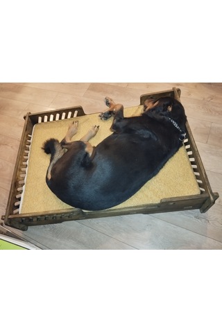 Pet Dizayn Bilboa Büyük Köpek Yatağı 2XL