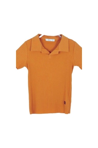 Nk Kids Çocuk Polo Yaka Fitilli T-shirt-14004-tarçın Tarçın