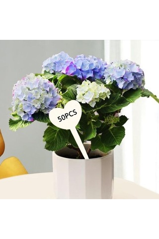 Trendooze Homyl 50 Adet Bitki Kalp Şekil Saksı Etli Ekici Adı Etiketleri