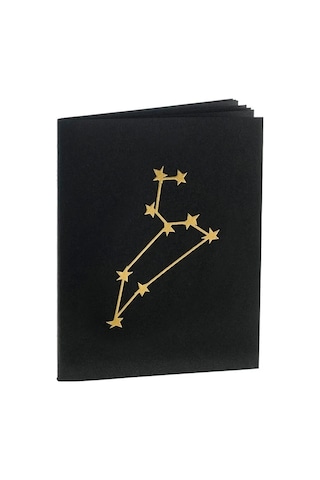 Aslan Burcu Yıldız Haritası Siyah Defter