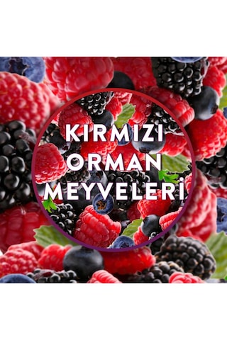 Air Wick Kırmızı Orman Meyveleri Oda Kokusu Freshmatic Yedek Spreyi 6x250 Ml Kırmızı Meyveli Çiçeksi