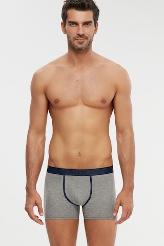 Kom Levi 2'Li Erkek Boxer Pamuk-Micro