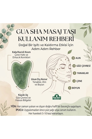 Gua Sha Masaj Taşı