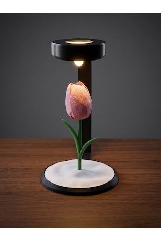 Moonlamp Pembe Lale Dekoratif Hediyelik Lamba Moonlamp Pembe Lale Dekoratif Hediyelik Lamba