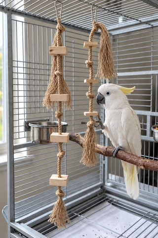Mivra Pets Papağan Kemirme Parçalama Seti 80 Cm 8 Mm Jüt Mivra Pets Papağan Kemirme Parçalama Seti 80 Cm 8 Mm Jüt