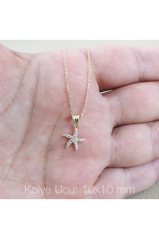 Deniz Yıldızı Altın Kolye Ucu As1429Gkl Altınsepeti