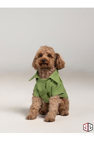 Salya Store Good Vibes- Yeşil Keten Yazlık Köpek Gömleği Küçük Irk Salya Store Good Vibes- Yeşil Keten Yazlık Köpek Gömleği Küçük Irk