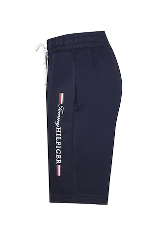 Tommy Hilfiger Tommy Hılfıger Erkek Şort 09t4264-410 Lacivert
