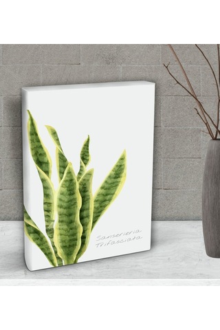 Bk Gift Green Plant Tasarımlı Dekoratif Mini Kanvas Tablo 15X20Cm (506660603)