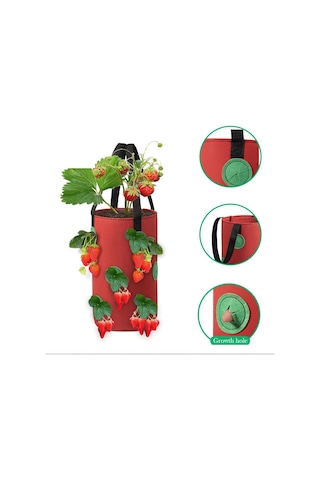 3 Galon Topsy Turvy Domates Ekici, 12 Delikli Asma Çilek Ekici, Nefes Alabilen Çilek Kumaş Sebzeler İçin Çantalar Yetiştirin 3 Paket
