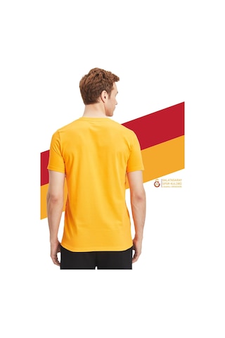 Gsstore Galatasaray Orijinal Lisanslı Aslan Baskılı Sarı T-shirt Gs Aslan Baskılı Hediyelik Ahşap Kutulu Sarı