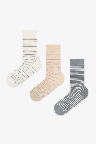 Penti Erkek Renkli Calm Stripes 3'lü Soket