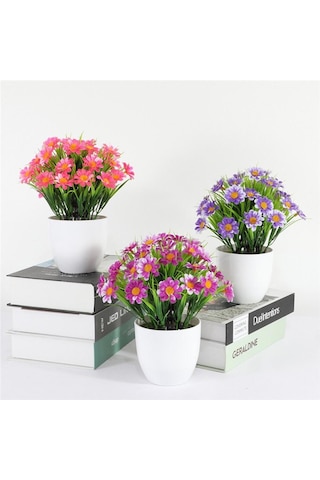3lü Set Yapay Çiçek Papatya Beyaz Saksıda Karışık Renkler