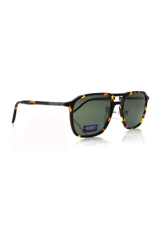 U.s. Polo Assn. U.s.p.a. 0516 C2 55-20-145 Güneş Gözlüğü Kahverengi