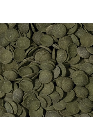 Tropical Green Algae Wafers 100 Gram Balık Yemi