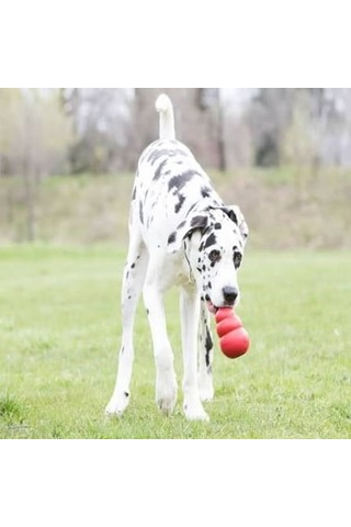 Kong Classic Xx-large Ödül Konulabilen Köpek Oyuncağı Xxl